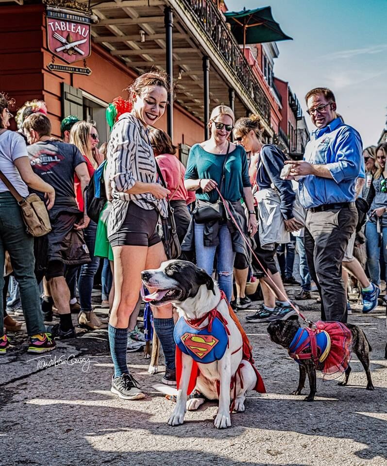 Barkus 2018 Dog Parade – Game Of Bones.