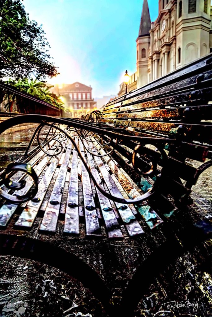 Benches in Jackson Square at Dawn