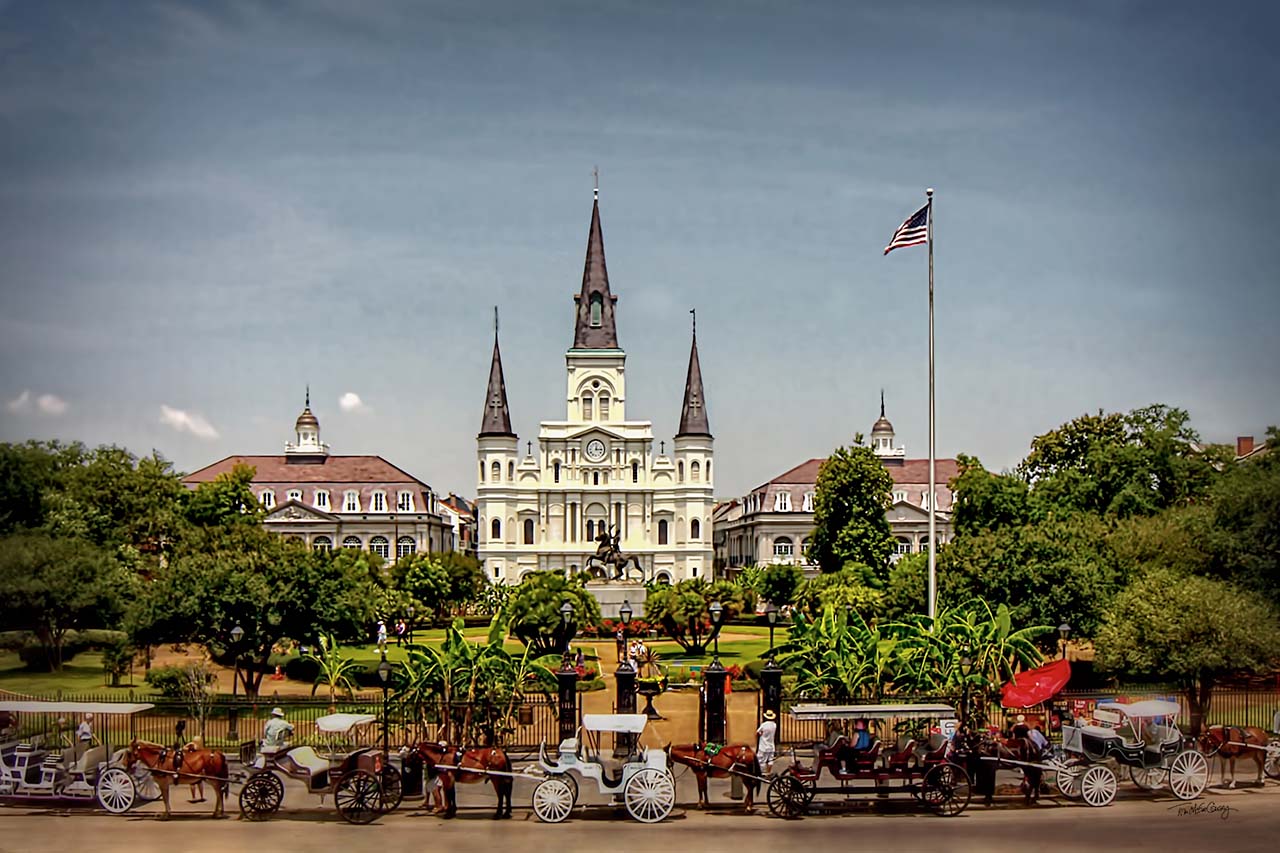 St. Louis Cathedral with Carriages | Toni McGee Causey